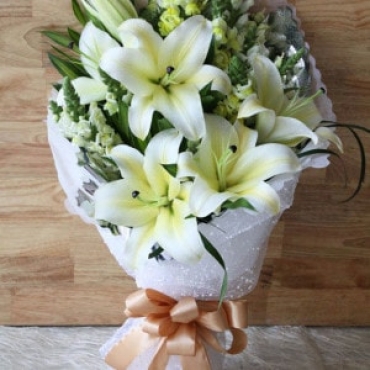 chia se kinh nghiem chon bo hoa ly dep cho chi em