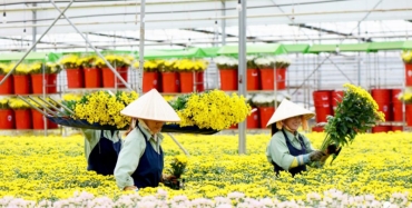 cua hang hoa da lat hasfarm