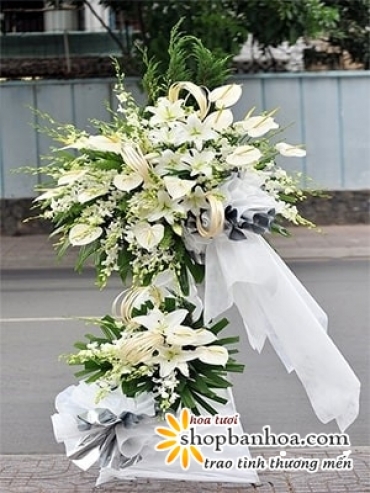 dien hoa chia buon huyen hoc mon tphcm