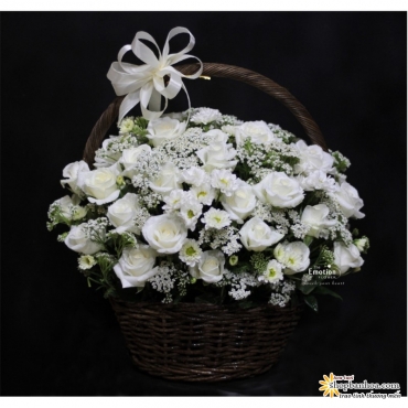 dien hoa chia buon quan phu nhuan tphcm