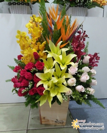 hoa sinh nhat tang ban trai doc la