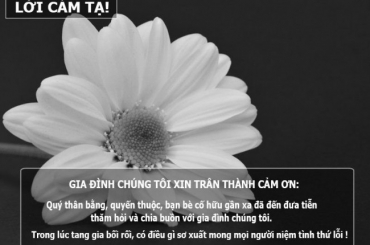 loi cam ta sau dam tang me