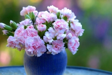 nhung loai hoa sinh nhat mau tim dang chu y