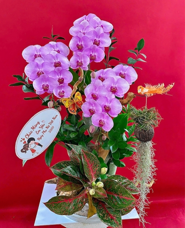 shop hoa sinh nhat xa tien hoa