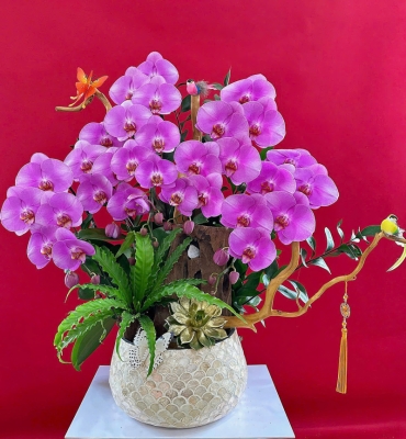 shop hoa tuoi xa duc trong lam dong  ?? hoa sinh nhat ke hoa khai truong