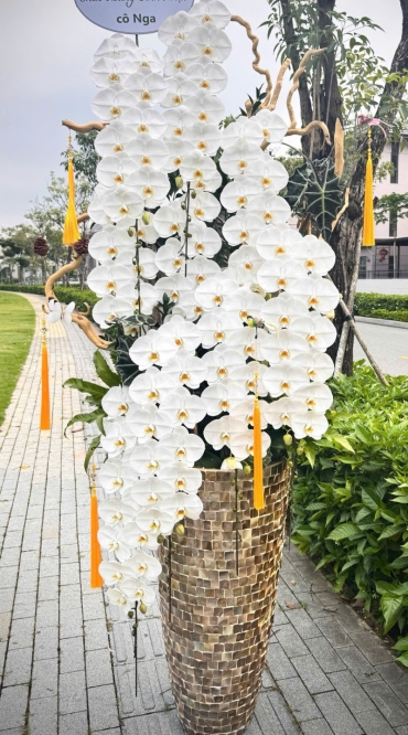 shop hoa tuoi xa ky van ha tinh giao hoa trong ngay
