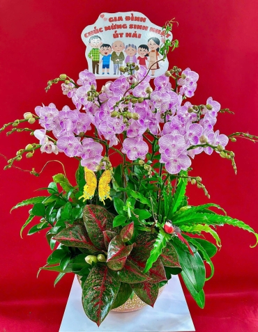 shop hoa tuoi xa ky xuan ha tinh giao hoa tan nha