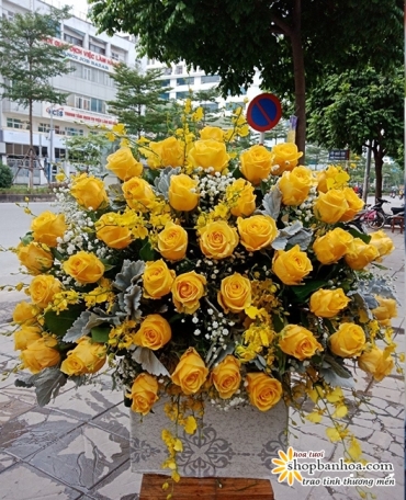 thuoc do ve dep cua gio hoa tuoi dep nhat