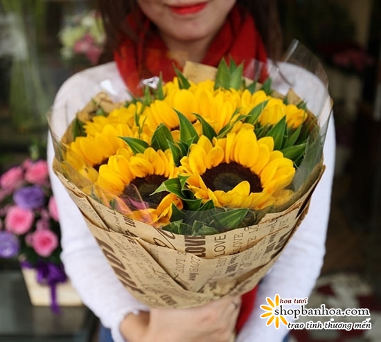 Giá hoa hướng dương chắc chắn sẽ khiến bạn thích thú và muốn sở hữu ngay một bó hoa tươi sáng này để trang trí cho căn phòng của mình. Hãy cùng chiêm ngưỡng hình ảnh đẹp này nhé!