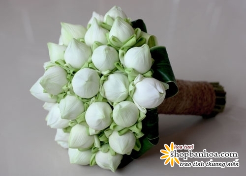 Hãy cùng ngắm nhìn những bó hoa sen trắng thanh lịch và quý phái, hoàn hảo cho các buổi cưới thanh lịch. Các bức ảnh này sẽ giúp bạn cảm nhận được sự tươi mới và độc đáo của loài hoa sen, đồng thời cũng giúp bạn tìm kiếm những ý tưởng trang trí hoa cưới độc đáo.