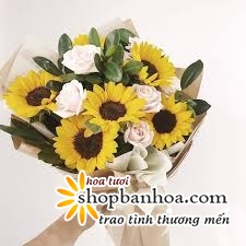 shop hoa tuoi son la   voi phuong cham  ??mot chu tin  ?? van niem tin ??